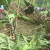 Des coulées de boue en Ouganda ont détruit des habitations et des cultures.