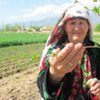 Maryam Jurakulova of Tajikistan with a fruit tree seedling she received from WFP