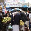 Thousands of people in Sa'ada, Yemen, depend on pomegranate and peach cultivation