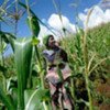 FAO and European Union assisting over 36,000 farmers in Lesotho