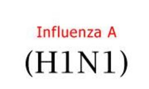 ah1n1.jpg (8694)