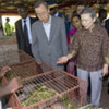Secretary-General Ban Ki-moon and wife Yoo Soon-taek visit  project Centre Songhai in Porto Novo, Benin