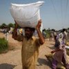 Les agriculteurs au Pakistan ont besoin de semences.