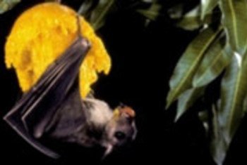 media:entermedia_image:3b456799-dd91-4e3d-a37b-29b4d2931c7b