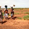 One of the biggest humanitarian crises in Africa in 2010 is Niger