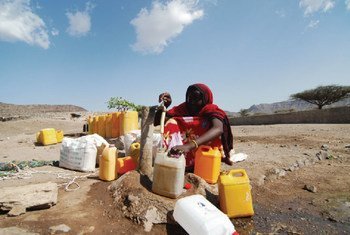 La sécheresse à Djibouti.