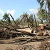 Cyclone Giri which struck Myanmar in October 2010 destroyed thousands of houses, many made of bamboo and palms