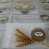 Around the world samples of plant genetic material are being collected and saved for use in research and cultivation