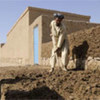 A refugee returnee in Mazar-e-Sharif builds a new home with assistance from UNHCR