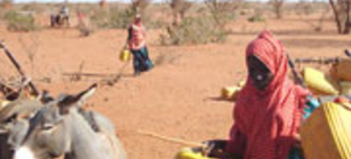 Efeitos do La Niña podem ser observados na seca em curso no Chifre da África 
