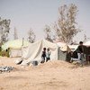 Displaced people in eastern Libya outside the town of Ajdabiya