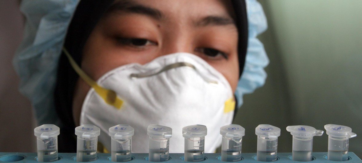 Una trabajadora de salud en Indonesia analiza muestras de sangre para detectar la gripe.
