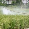 Endosulfan has been added to the list of persistent organic pollutants to be eliminated worldwide