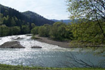 Река в Карпатских горах. Площадь Карпат в пять раз больше Швейцарии 
