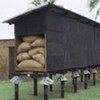 Maize crib used as a sack store for dried grain by rendering the sides rainproof and fitting rat guards to the legs, Nigeria