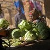 Cabbages on sale in the Democratic Republic of the Congo
