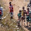 Locust swarm in southwestern Madagascar