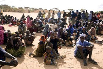 Des Somaliens attendent d'être enregistrés au camp de réfugiés de Dadaab, au Kenya.