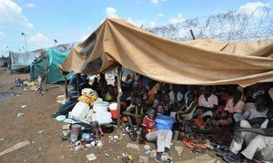 Comunidades desplazadas en Kordofán del Sur.