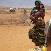 Les populations de la Corne de l'Afrique menacées de faim en raison de la sécheresse