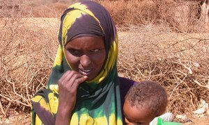The drought in Somalia has displaced thousands of families