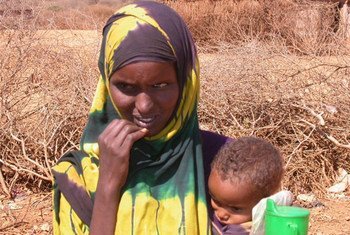 The drought in Somalia has displaced thousands of families