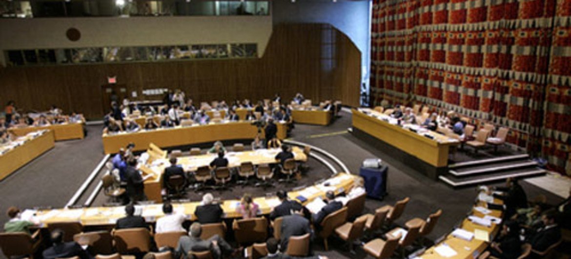 Le Conseil économique et social des Nations Unies. Photo ONU/Jenny Rockett