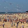 Over 13,000 Gaza children participated in the kite flying championship