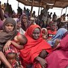 Des réfugiés somaliens arrivés dans un camp au Kenya.