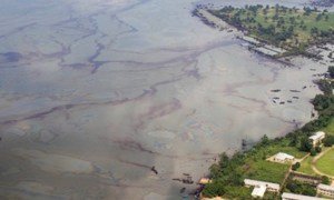 An aerial view of Ogoniland shows oil floating on the water's surface.