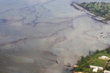 An aerial view of Ogoniland shows oil floating on the water's surface.