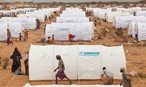 Un camp de réfugiés à Dadaab, au Kenya.