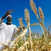 Un agriculteur au Soudan.