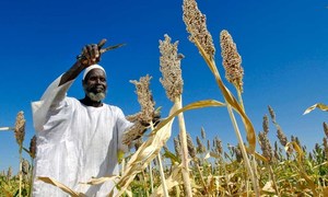 Un agriculteur au Soudan.
