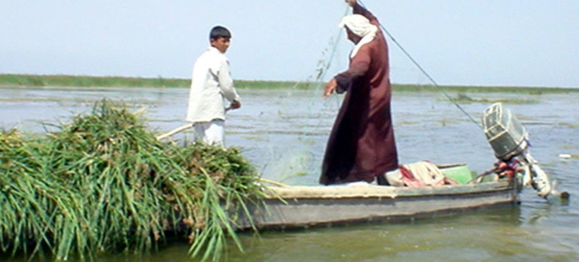 Des pêcheurs dans les marais iraquiens.