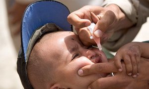 Child receives polio vaccine