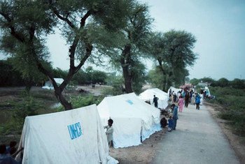 Le HCR a distribué des tentes à des milliers de familles déplacées par les inondations au Pakistan.