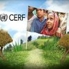 联合国中央应急基金建立十周年  联合国图片