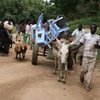 Refugees fleeing Sudan's Blue Nile State head for Ethiopia