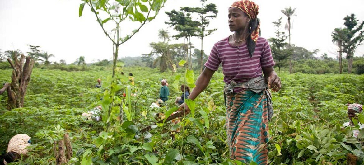 A woman farmer in Ganta, Liberia.