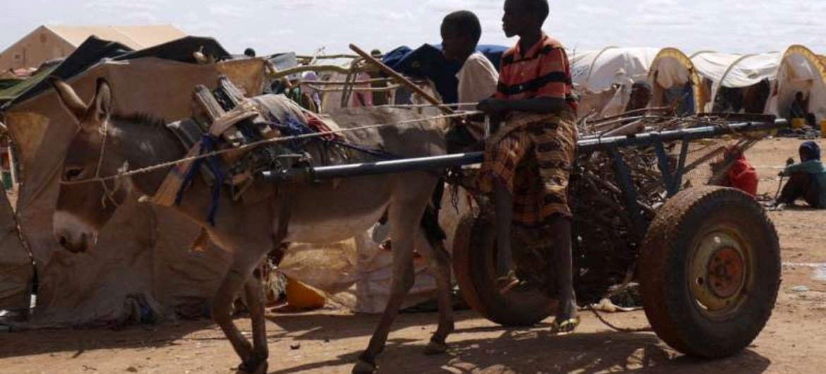 Like these Somali refugees in Dollo Ado, Hassen travelled on a donkey drawn cart for much of the way to Ethiopia