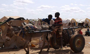 Des réfugiés somaliens à Dollo Ado, en Ethiopie.