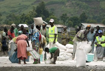Des résidents d'un camp de déplacés dans le Nord-Kivu reçoivent des rations alimentaires distribuées par le PAM et une ONG.