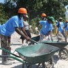 Des Haïtiens employés par le PNUD pour déblayer des décombres dus au séisme de janvier 2010.