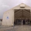 A UNHCR encashment centre in Kabul sees up to 400 families returning from Pakistan daily