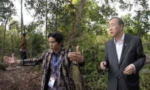 Le Secrétaire général Ban Ki-moon rencontre une communauté autochtone affectée par la déforestation à Bornéo, en Indonésie. (17 novembre 2011)