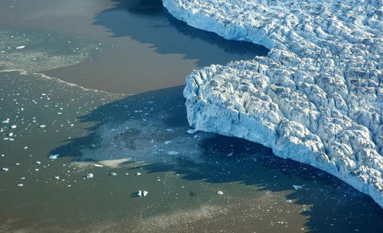 Aquecimento do Ártico está a impulsionar muitas das mudanças em curso na região, incluindo a perda de gelo marinho e alterações nos ecossistemas terrestres e marinhos. 