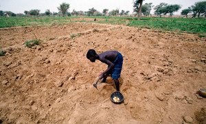 The relationship between climate change, migration and conflict in the Sahel region remains complex.