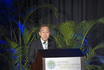 Secretary-General Ban Ki-moon addresses high-level forum on international forest protection in Durban, South Africa