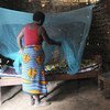 Les moustiquaires imprégnées d'insecticide sont cruciales dans la lutte contre le paludisme. Photo IRIN/Wendy Stone